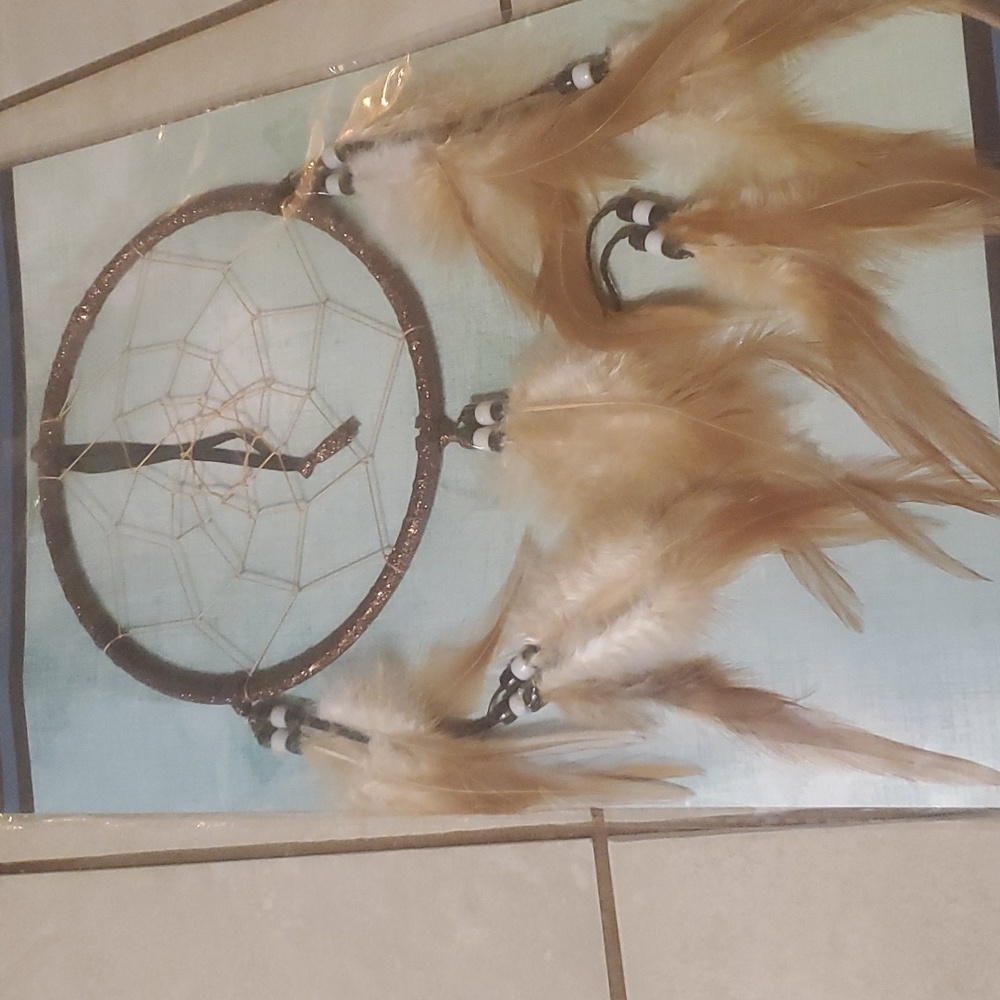 New Brown Glittery Dreamcatcher